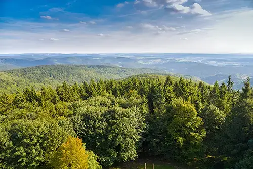 Unser traumhafter Thüringer Wald