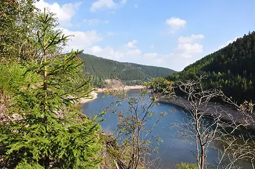 Unser traumhafter Thüringer Wald